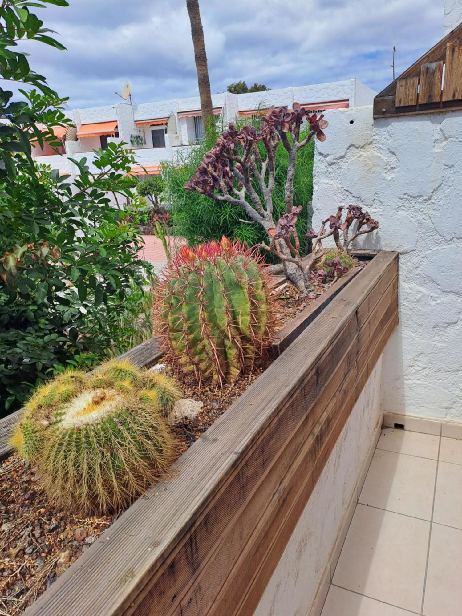 Apartment El Chaparral Poolview Ground Floor Arona (Tenerife)